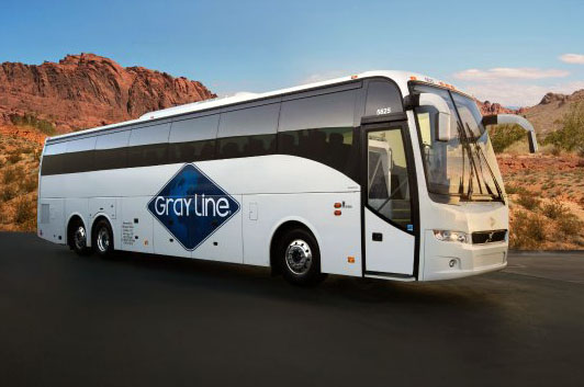 Bus Paint and Repair